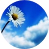 annick00