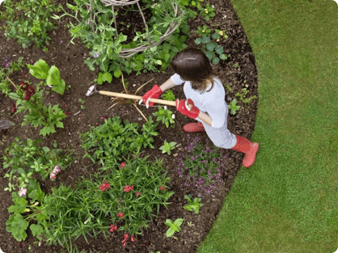 Entretenir le jardin ? L'outil des travaux de jardinage vous guide dans les travaux les plus importants de chaque mois