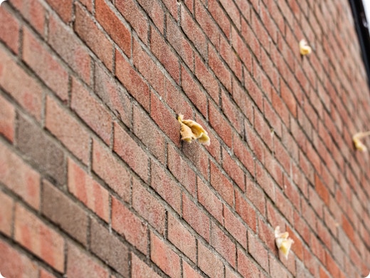 Welke isolatie is het meest vochtbestendig?