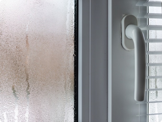 Condensatie en schimmelvorming in huis: oorzaken, gevolgen en oplossingen