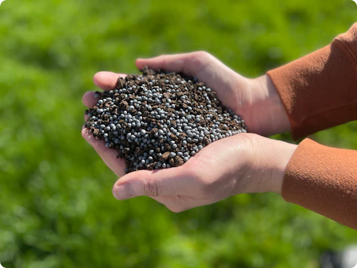 Is biobased isolatie écht de moeite?