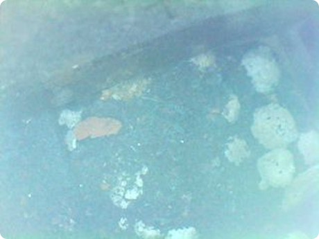 Vermiculiet gebruiken om verbrande geur haard tegen te houden?