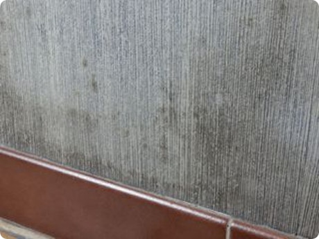 Hoe plinten terug plaatsen na behandeling muren tegen vocht?