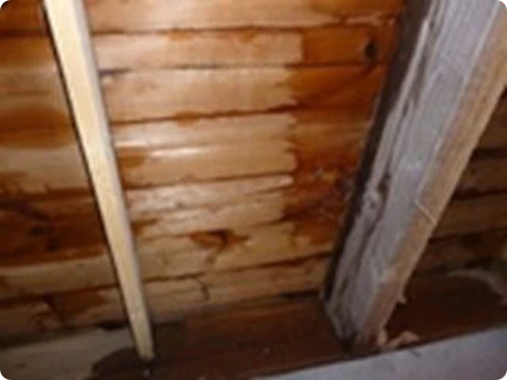 Van waar komt vocht in houten tuinhuis?