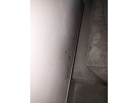 Vochtprobleem - condensatie