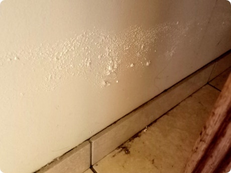 Hoe vochtkwestie goed aanpakken?