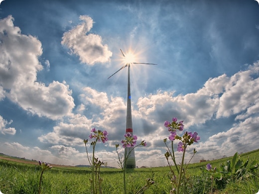 Verplicht aandeel hernieuwbare energie: niemand kiest voor participeren