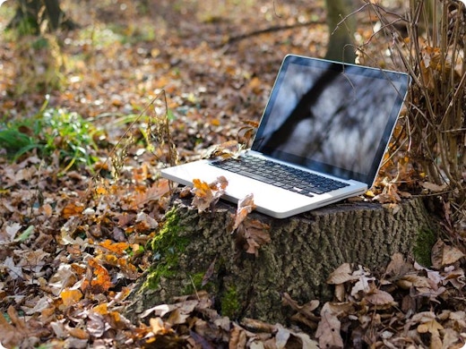 Grenzeloos wifiplezier van kelder tot zolder