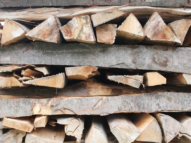 reste de bois brule en 5 lettres