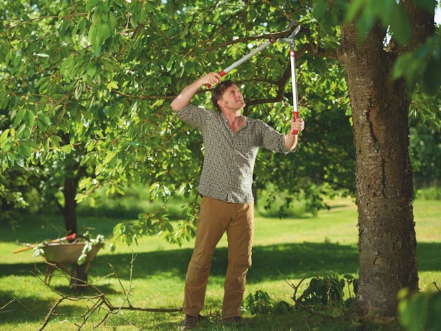 Votre jardin prêt pour l’automne ? Trouvez la solution pour chaque projet avec Wolf-Garten