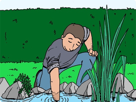 Tuinvijver onderhouden