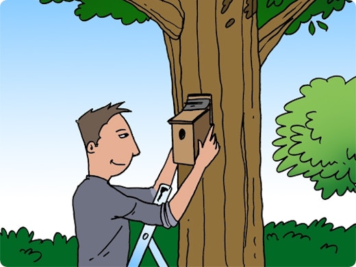 Fabriquer un nichoir