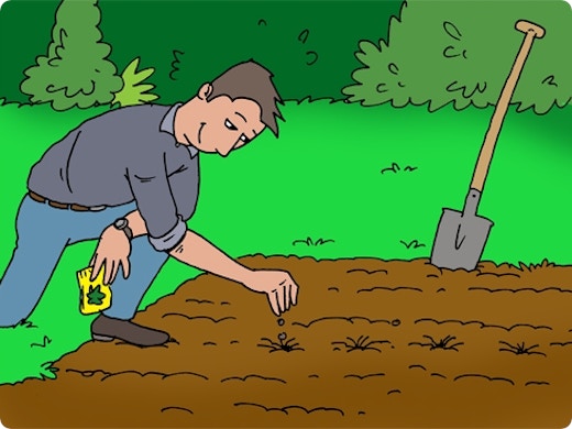 Moestuin aanleggen