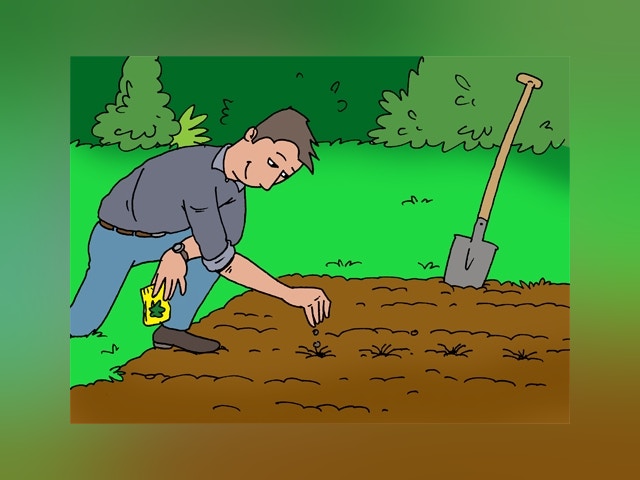 Amenager Un Potager Amenagement De Jardins Livios Amenager Un Potager Amenagement De Jardins Livios