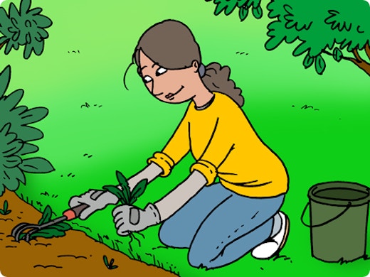 Eliminer et prévenir les mauvaises herbes