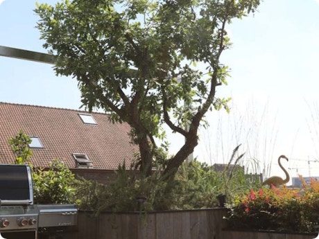 dakterras terras Gent