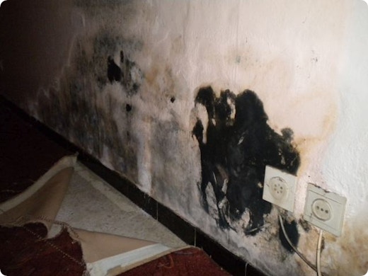 Schimmel verwijderen? Zo pak je het zelf grondig aan