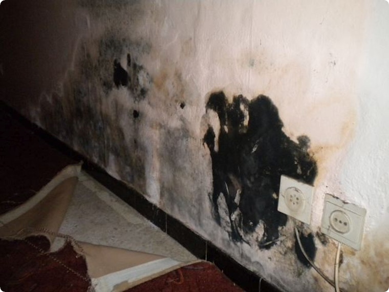 Schimmel verwijderen? Zo pak je het zelf grondig aan