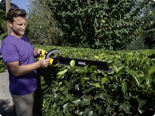 Planten en bomen snoeien? Ga aan de slag met deze snoeitips!