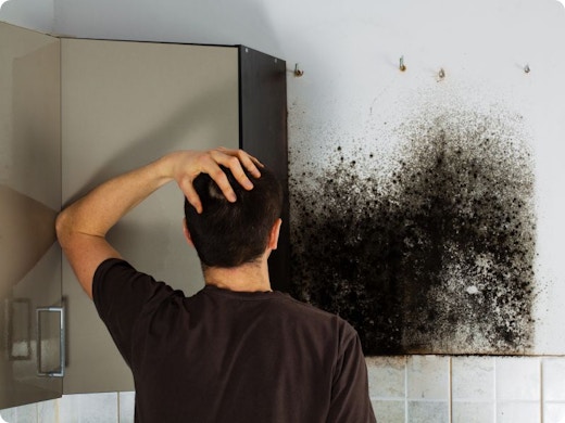 Het gevecht tegen vocht: oorzaken en remedies