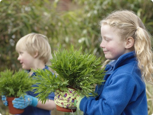 Strak najaarsplan voor een tuin in topvorm. Aan de slag!