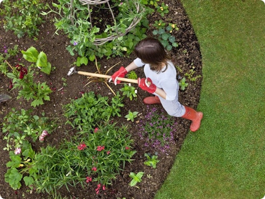 Aménager vos parterres