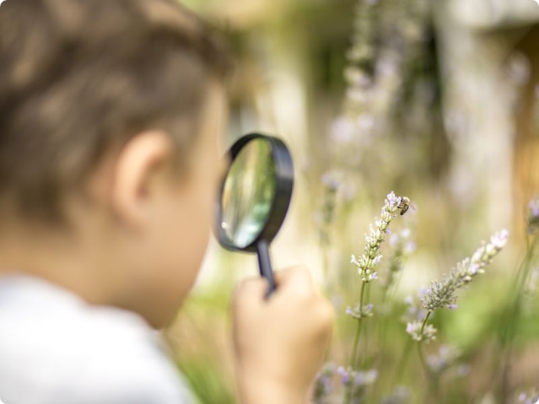 Een tuin vol leven? Zo begin je eraan!