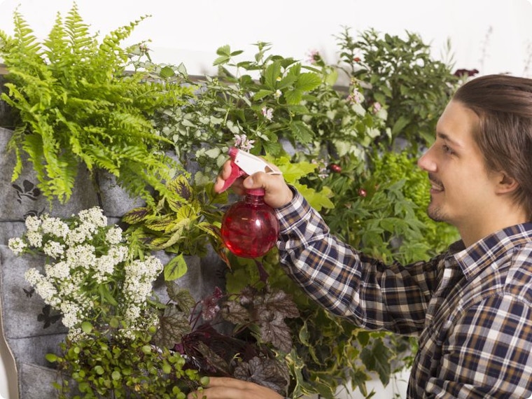 Een verticale tuin: de ideale oplossing voor kleine tuinen of balkons