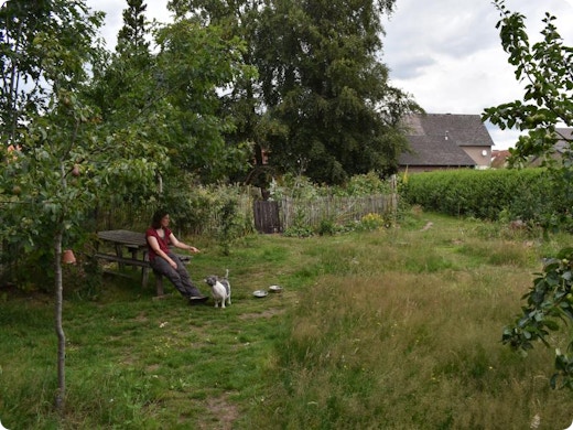Le jardin climato-résistant : “Résistant à la chaleur, peu d’entretien et pas cher”