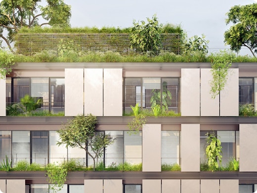 Onze vijfde gevel wordt belangrijker: “Meer aandacht voor echte daktuinen”