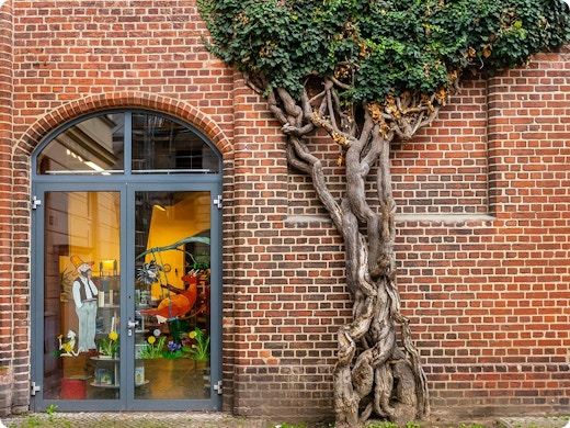 Eerste hulp voor groenzoekers zonder tuin