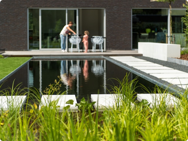 5 dingen die je zeker moet weten over een zwemvijver: van planten tot onderhoud