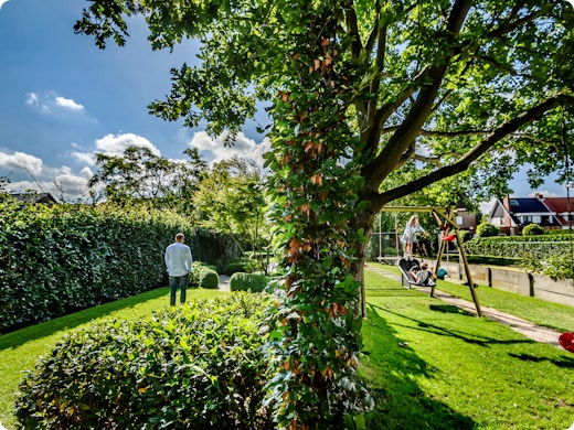 10 conseils d'un expert pour aménager un grand jardin avec un petit budget