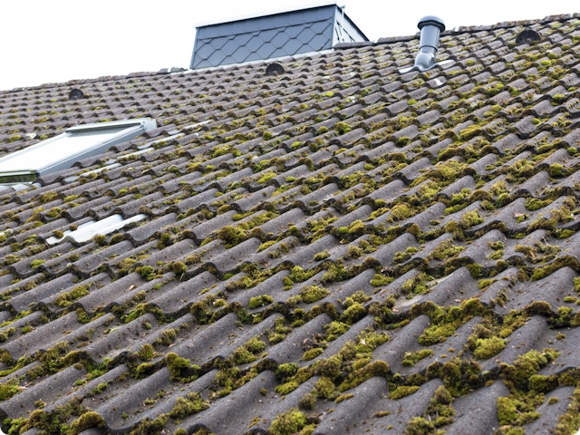 Démousser votre toit : conseils pour éliminer la mousse efficacement