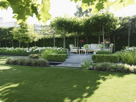 Schaduwbomen: onder een groene parasol op je terras