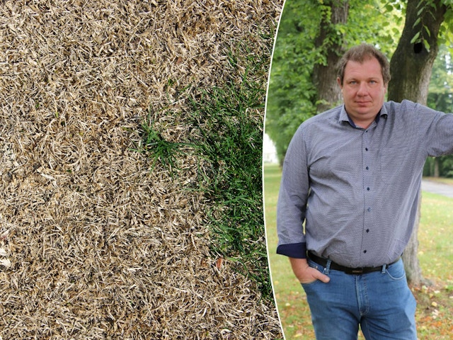 Les conseils d’un expert en jardins : "Comment éviter et réparer un gazon roussi"