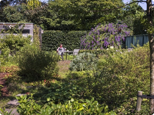 Expert donne 5 conseils pour un jardin écologique