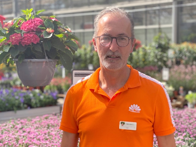 Bescherm je planten tegen de hitte met deze protips