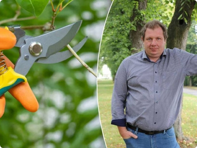 Tuinkalender november: deze tuinklussen staan op de planning