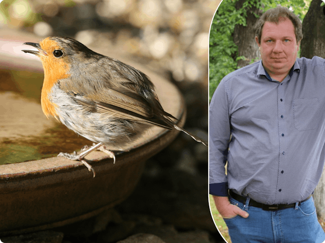 Travaux de jardinage en décembre : que faire au jardin pour un hiver réussi ?