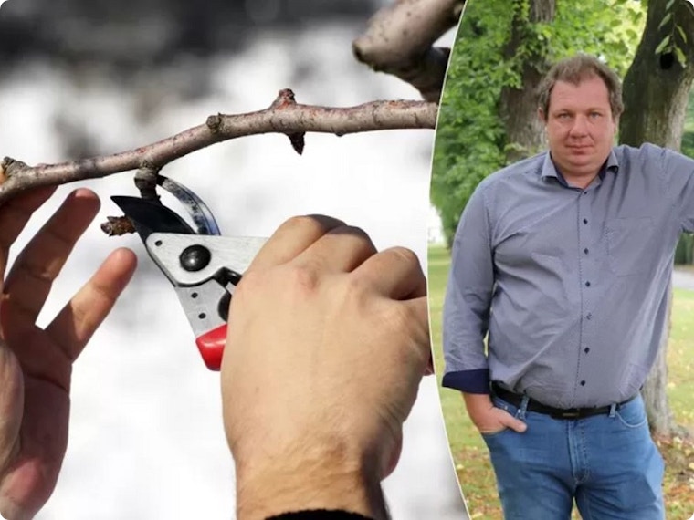 Ideale tuinklussen in januari: advies van tuinexpert