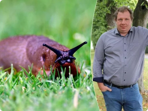 Tuinklussen maart: expert waarschuwt voor vorst en slakken