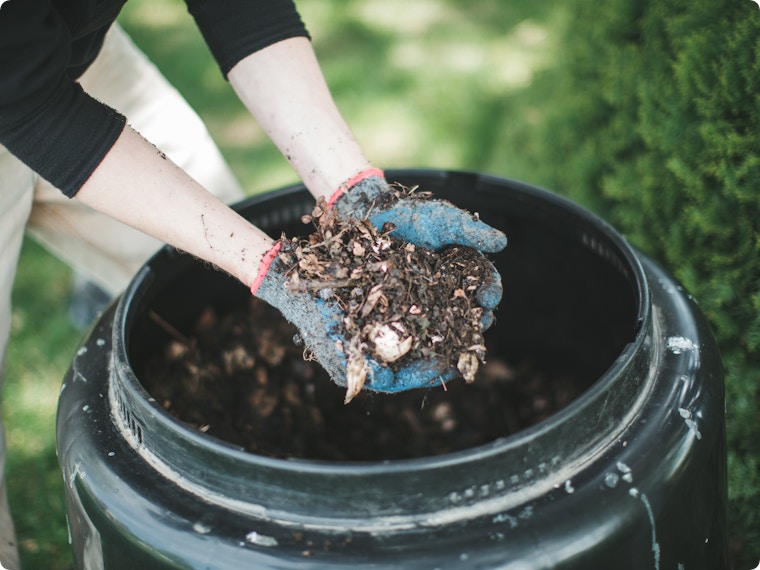 Compost voor een goede bodem in je tuin: zo verbeter jij je grond
