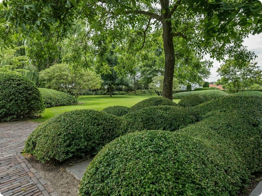 Van Japanse tuin tot cottagetuin: 5 unieke stijlen voor je tuin