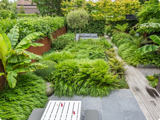 Vakantietuin: jungle van groen aan de kust