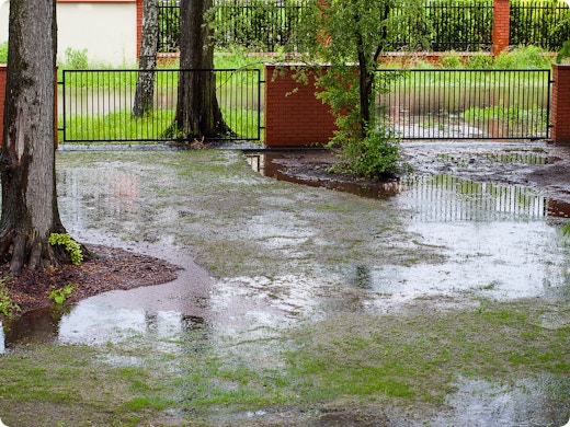 Hoe krijg je je tuin terug in optimale staat na overvloedige regenbuien? Experts delen tips