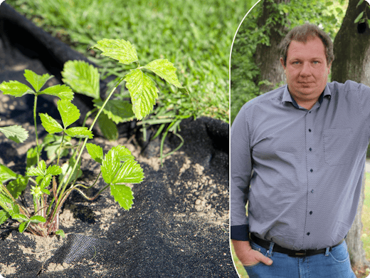 Expert de jardin : pourquoi les bâches anti-racines sont inutiles dans le jardin