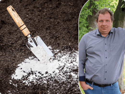 Tuinexpert tipt de tuinklussen voor februari: dit kan je nu doen