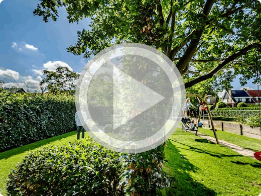 Video: Hoe kan je een tuin inrichten met een klein budget?