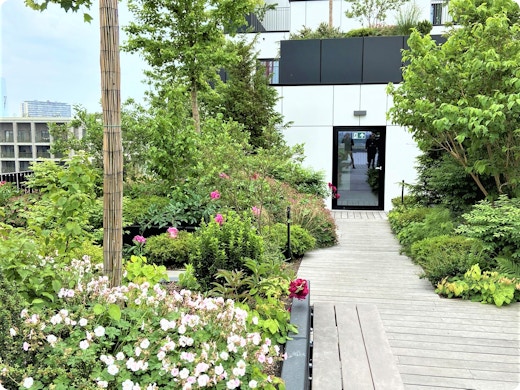 Cohabiter avec les chauves-souris et les abeilles : une nouvelle tendance ?